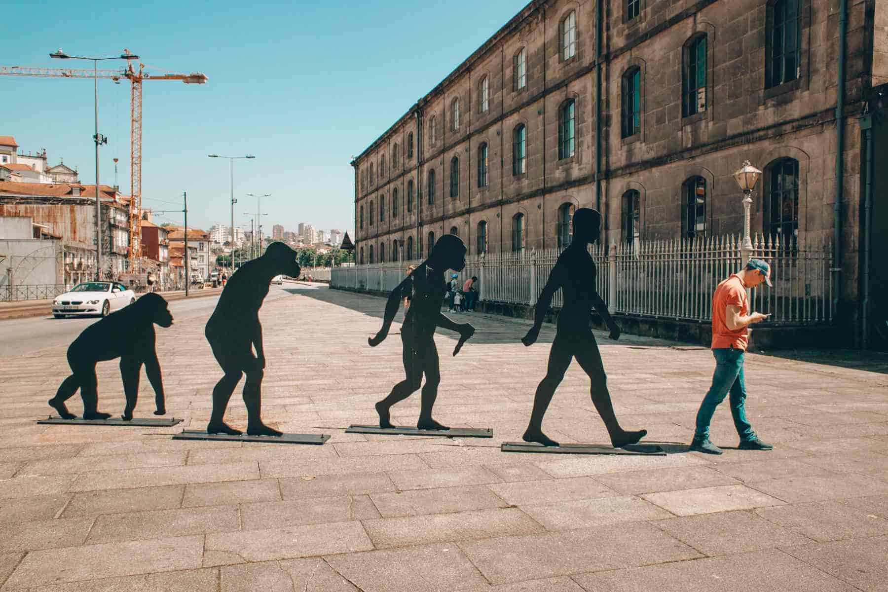  Unravelling the Mysteries: Things I Failed to Understand About Evolution