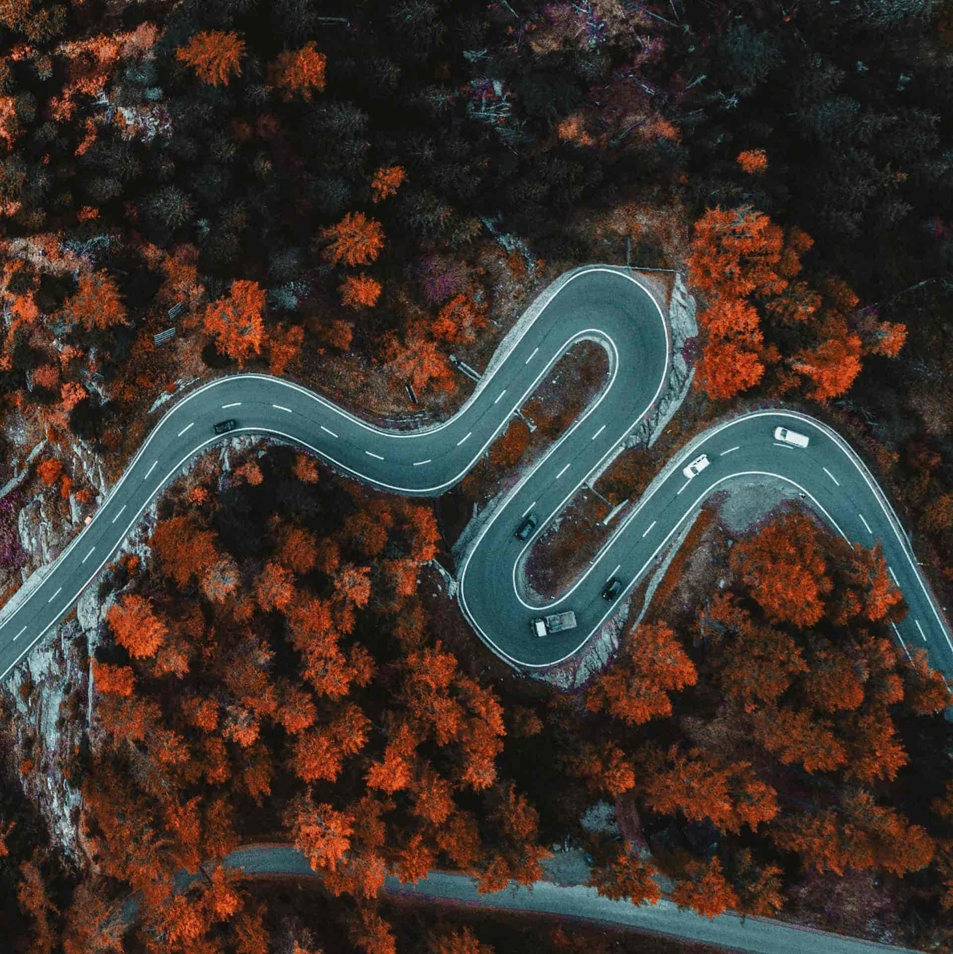 Creating a Roadmap to Help Students Become Python Experts