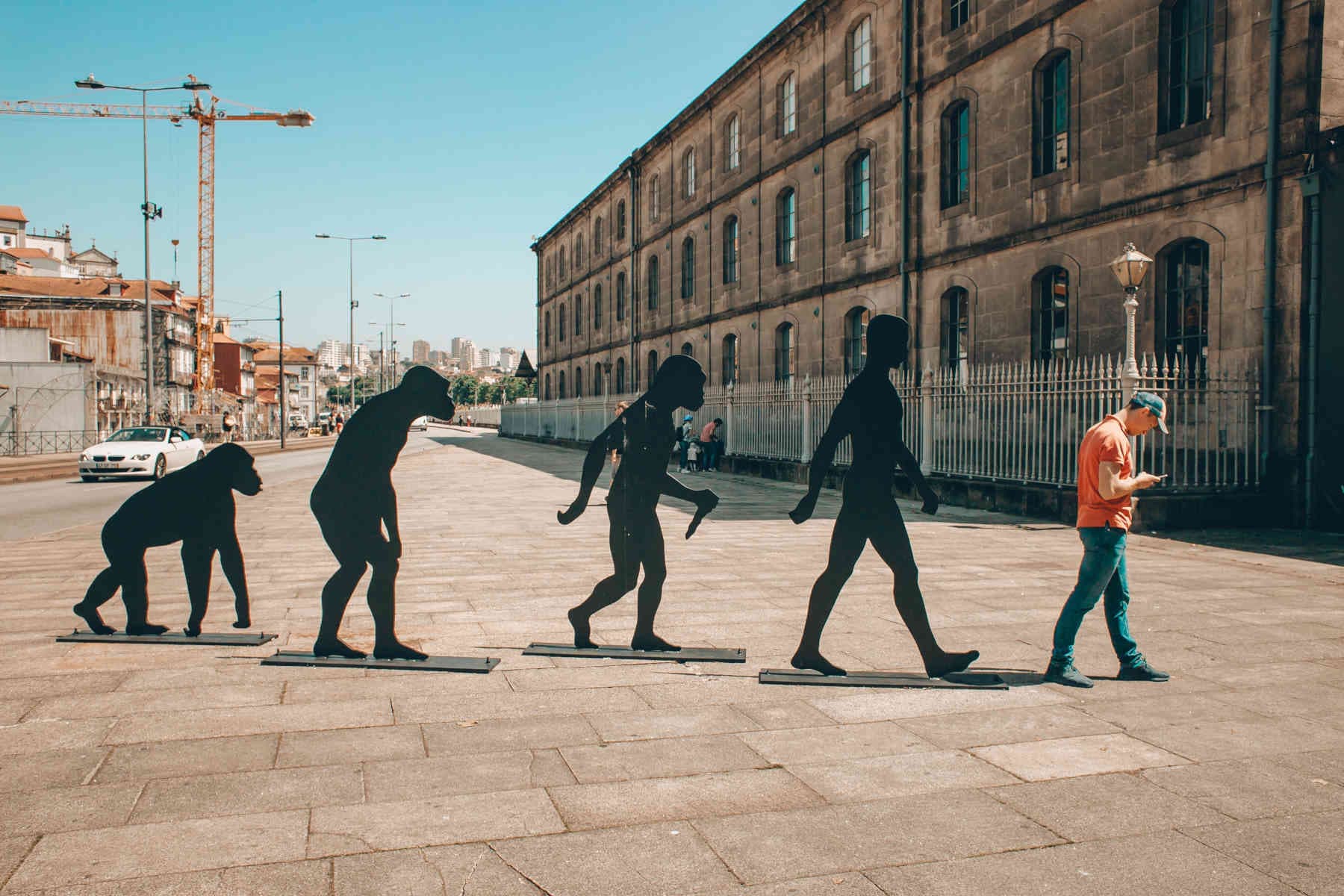 Unravelling the Mysteries: Things I Failed to Understand About Evolution